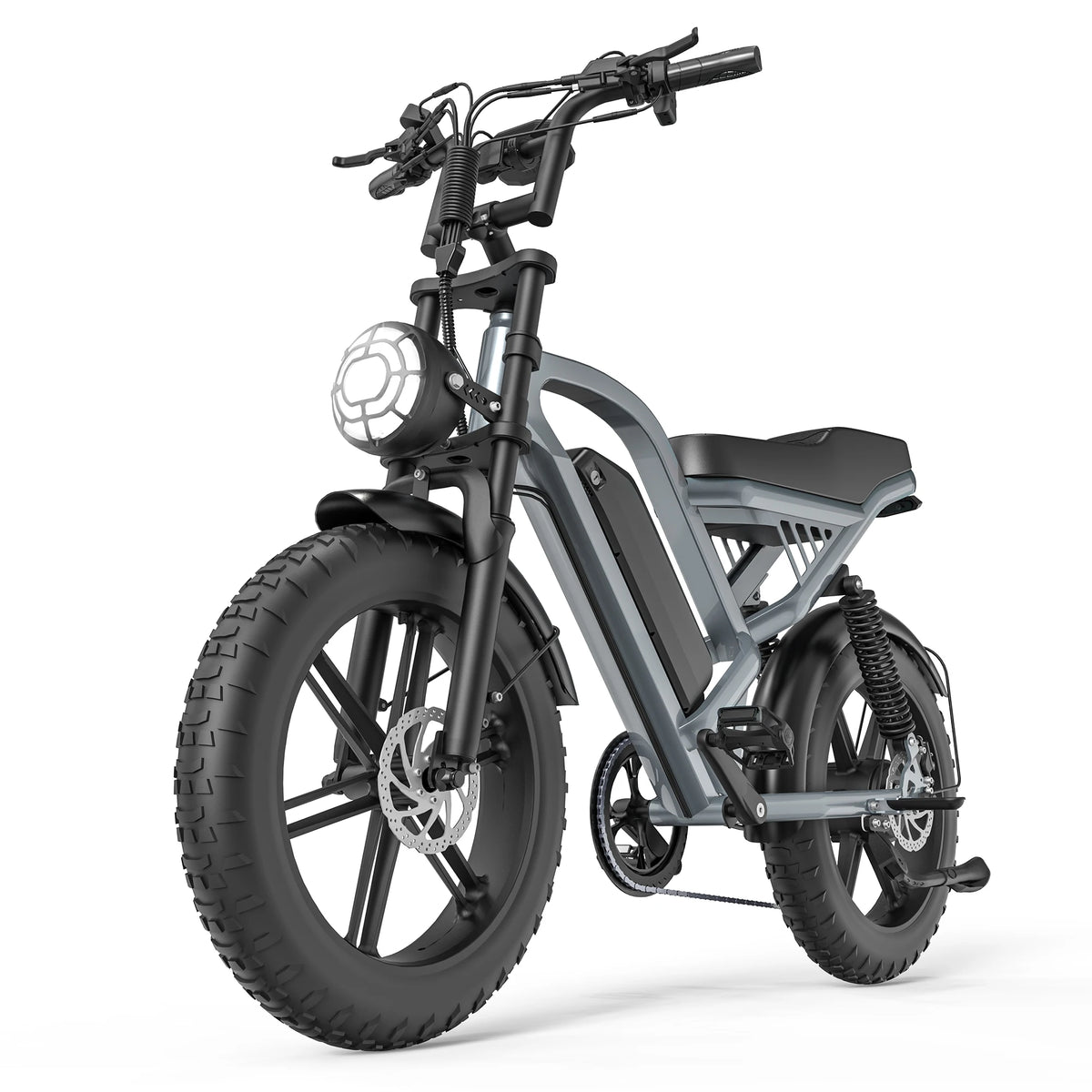 Powerful 750W Fat Tire Electric Bike With Dual Suspension