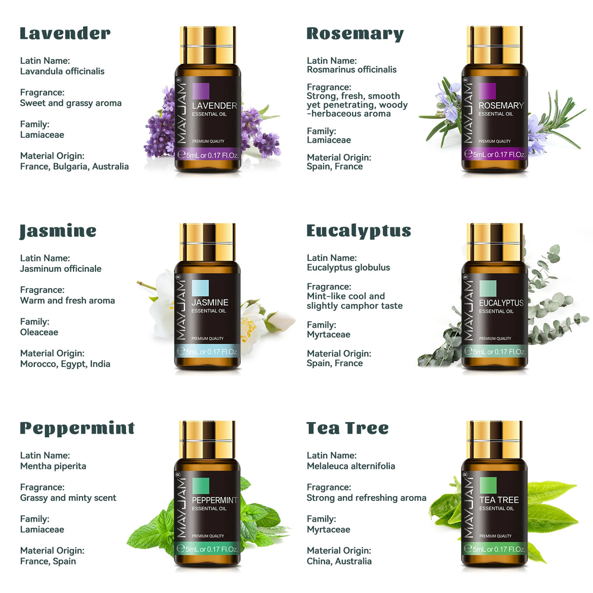 Mayjam Essential Oils Gift Box Collection For Aromatherapy