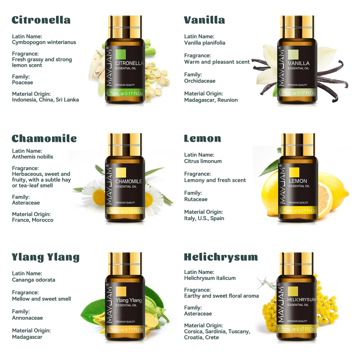 Mayjam Essential Oils Gift Box Collection For Aromatherapy