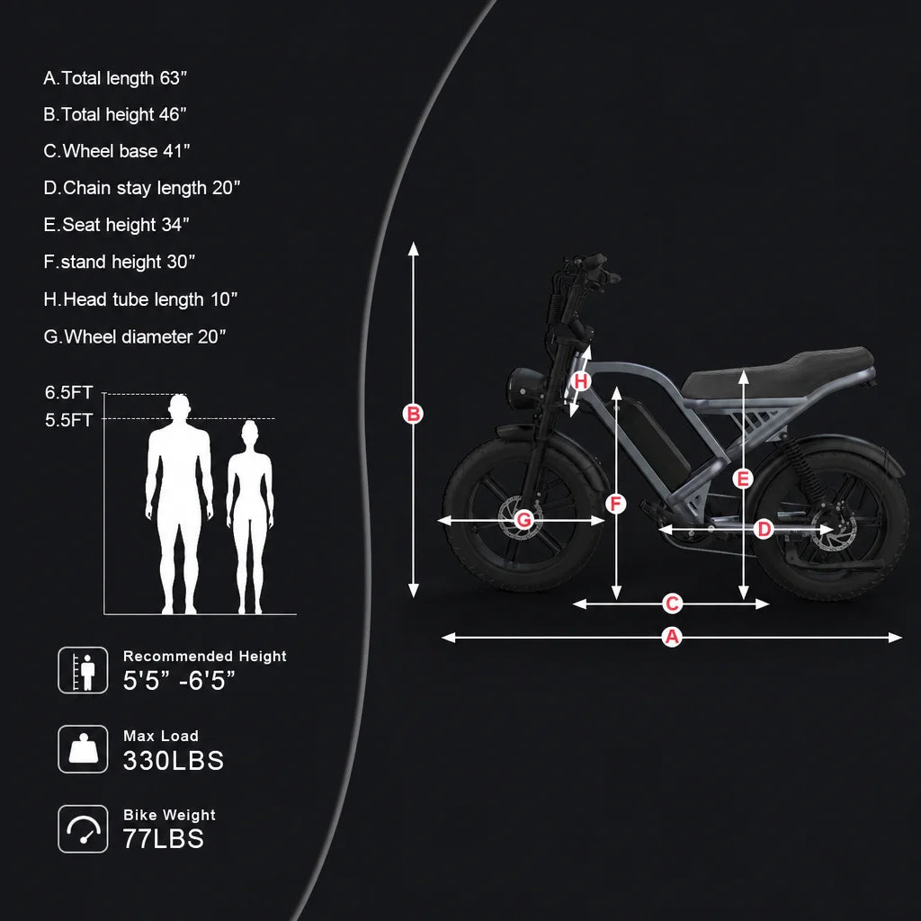 Powerful 750W Fat Tire Electric Bike With Dual Suspension
